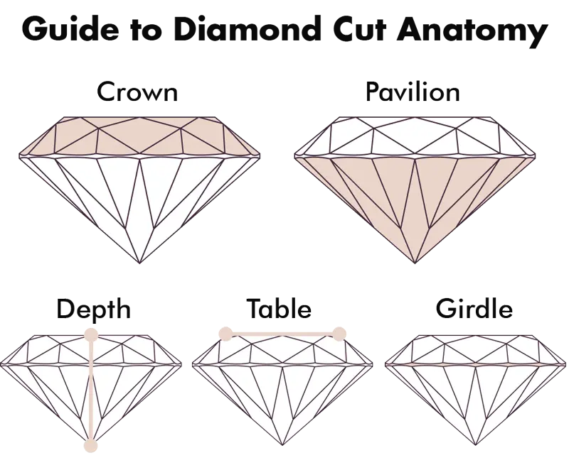 diamond cut anatomy